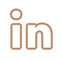 Linkedin icon