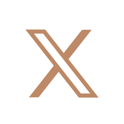 X icon